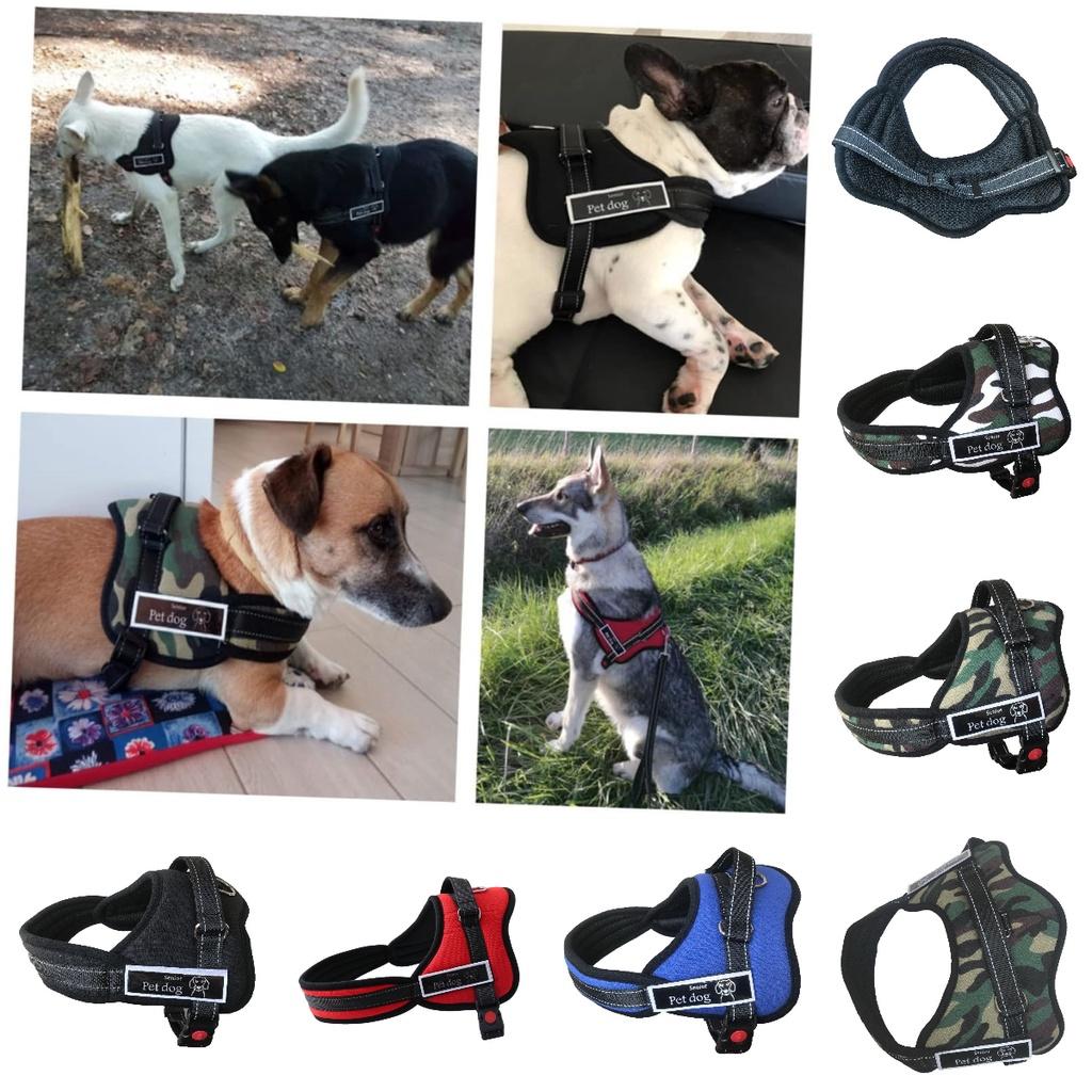 Premium Quality Pet Chest Harness And Leash For Medium To Large Dogs Adjustable Durable And Stylish