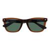 Officially Licensed Sunglasses Wellington Clear Dark Brown [FC Barcelona] Men's BC-704