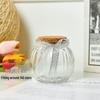 Creative Glass Bottle with Sand, Shells, Lucky Stars, Paper Cranes, and Rainbow Pentagrams