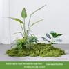 Luxury Faux Green Plant and Flower Decor - Indoor Moss and Grass Clusters for Elegant Landscaping.