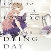 Ich will dich bis zu deinem Tod lieben 4 von Nachi Aono Taschenbuch 9798888773833