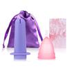 Silicone Menstrual Cup: Travel-Friendly Moon Cup & Period Solution