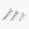 Socket Head Cap Screw