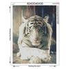 Diamond Animals Full Round Drill Decoration Home 5D DIY Embroidery Diamond Painting Tiger