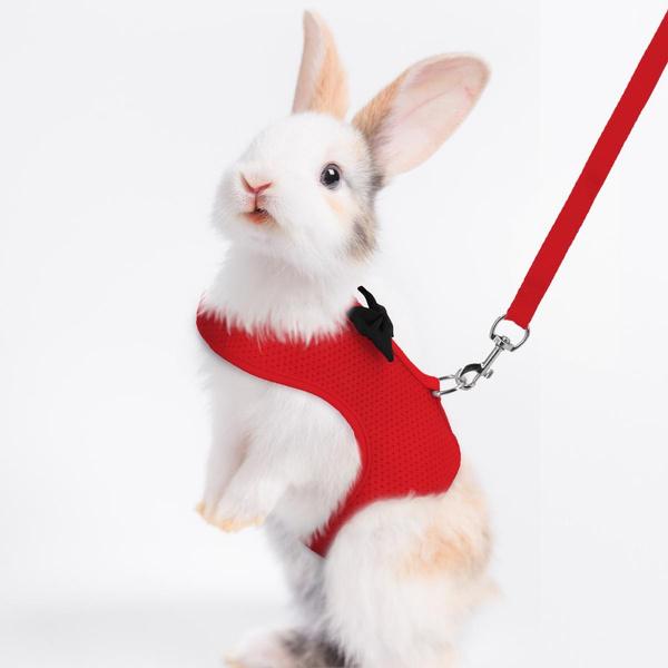 Rabbit Harness and Leash for Walking Escape Proof - Mesh Breathable Bunny Vest Harness Outdoor Camping Hiking Training - Also Suit