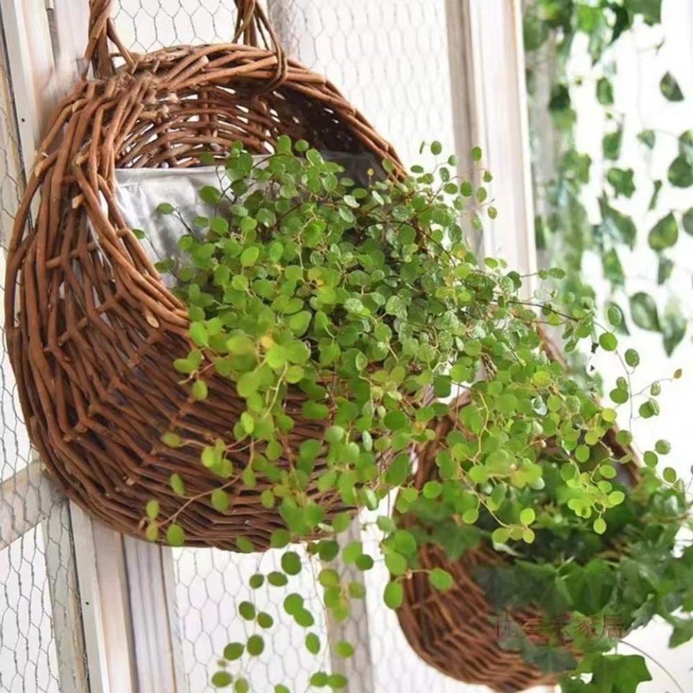 New Storage Container Flower Basket Wall Hanging Handmade Weaving Wicker Basket Hanging Planter Home & Living