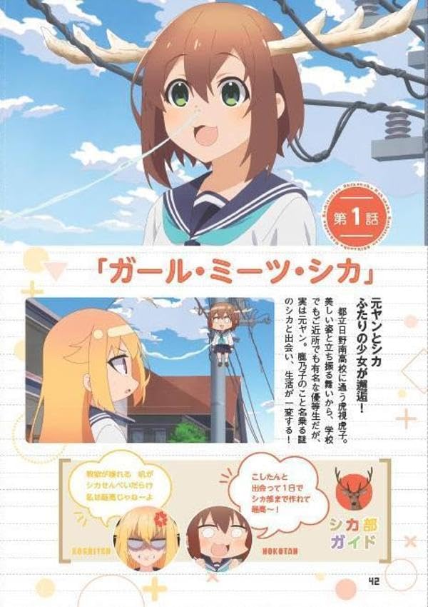 Shikanokokonokoshitantan Livro Oficial do Anime: Kakuka Shika Shikabu (KC de luxo)