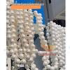 Giant Pearl String Wedding Ornament for Display and Photo Backgrounds