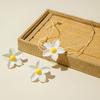 New Early Spring Flower Earnail Women's Fashion Necklace Set, Versatile and Niche Charm Jewelry Set