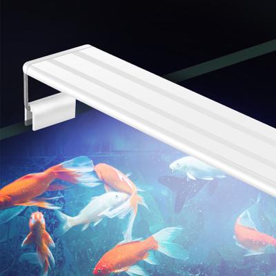 LED-Lampe mit ausziehbarem Clip für die Beleuchtung von Aquarien, weißes und blaues Licht