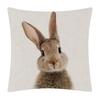 Hase Esel Fuchs Hirsch Igel Bär Hahn Ente Nilpferd Tiere Poster Kissenbezug Dekokissen Für Sofa Heimdeko