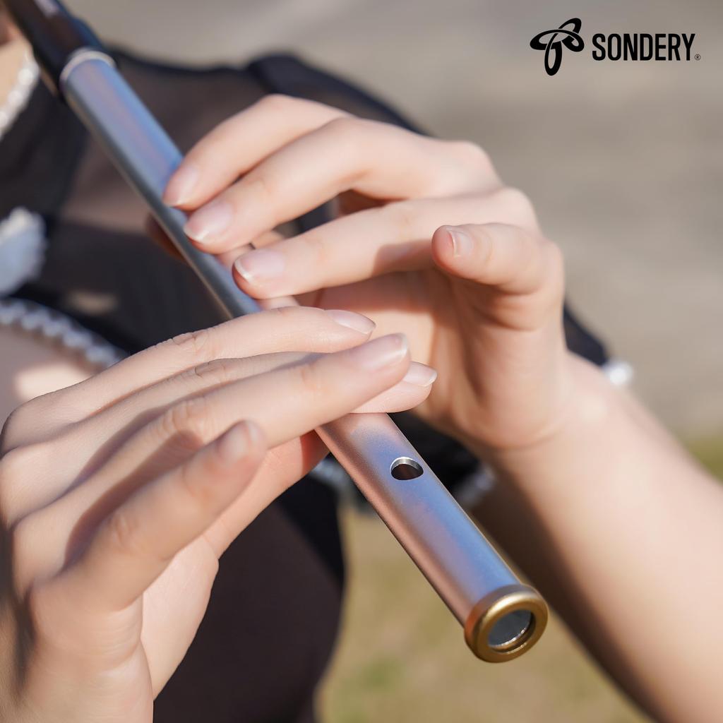 Sondery Tin Whistle C och D-tonarter Aluminiumlegeringsrör Silverfärg