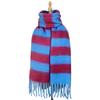Striped Winter New Thickened Warm Scarf Women's Simple High Sense Versatile Fashion Fringed Scarf Shawl