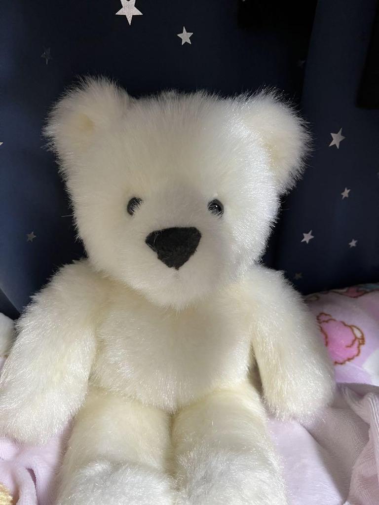 [USED] Hirokun House Teddy Bear