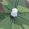 Foldable Umbrella Hat Portable Waterproof Outdoor Fishing Umbrella   for Adult