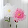Window Display 3D Big Simulation Flower Hollow Large Fake Flower Hanging Gauze Peony Photography Props Wedding