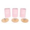 3pcs Storage Canister Multifunctional Airtight Iron Storage Jar with Lid for Tea Coffee Sugar