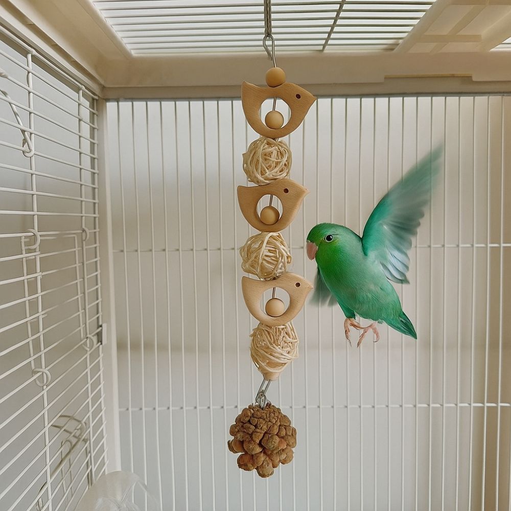 Hang Bird Swing Toy Wooden Bird Foraging Swing Funny Parrot Cage Toy Entertainment