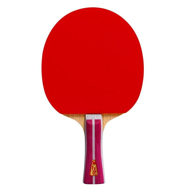 DOUBLE FISH Entry-Level Shakehand Table Tennis Paddle