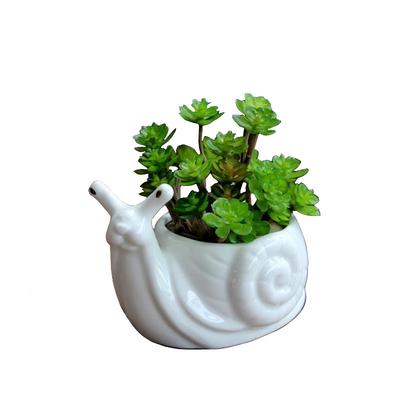 Ceramic Flower Pot Cartoon Snail Flower Vase Succulent Flowerpot Succulent Pot Plant Accessories Garden Courtyard Decoration