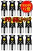 T10 LED Voice Lamp, T10 LED Canceller, T10 LED White Explosion, Built-in Canceller, CANBUS