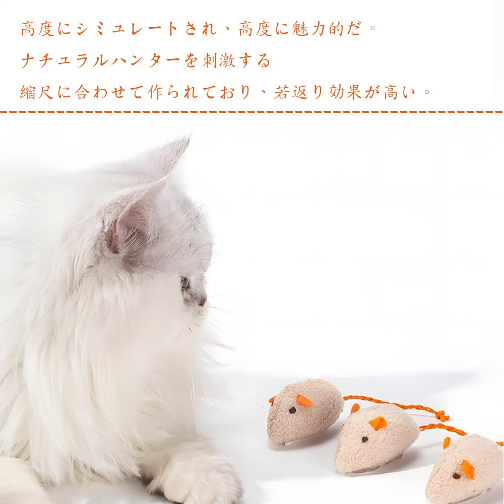 LYHMHAMY Cat Toys, Pet Toys, Mouse Toys, Set of 8, Cat Toys, Anti-Obesity, Exercise Stress Relief, Pet Supplies (Colorful)