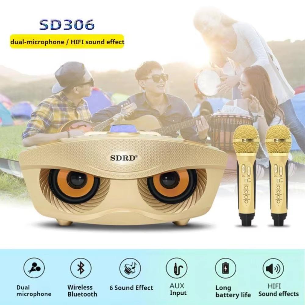 SD306 Dual Microphones Speaker Dual Microphones Karaoke Player Wireless Bluetooth Speaker  Karaoke