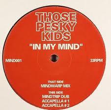 

12inch Record THOSE PESKY KIDS In My Mind MIND001 Z Records 2005 UK Dance Electronica Used