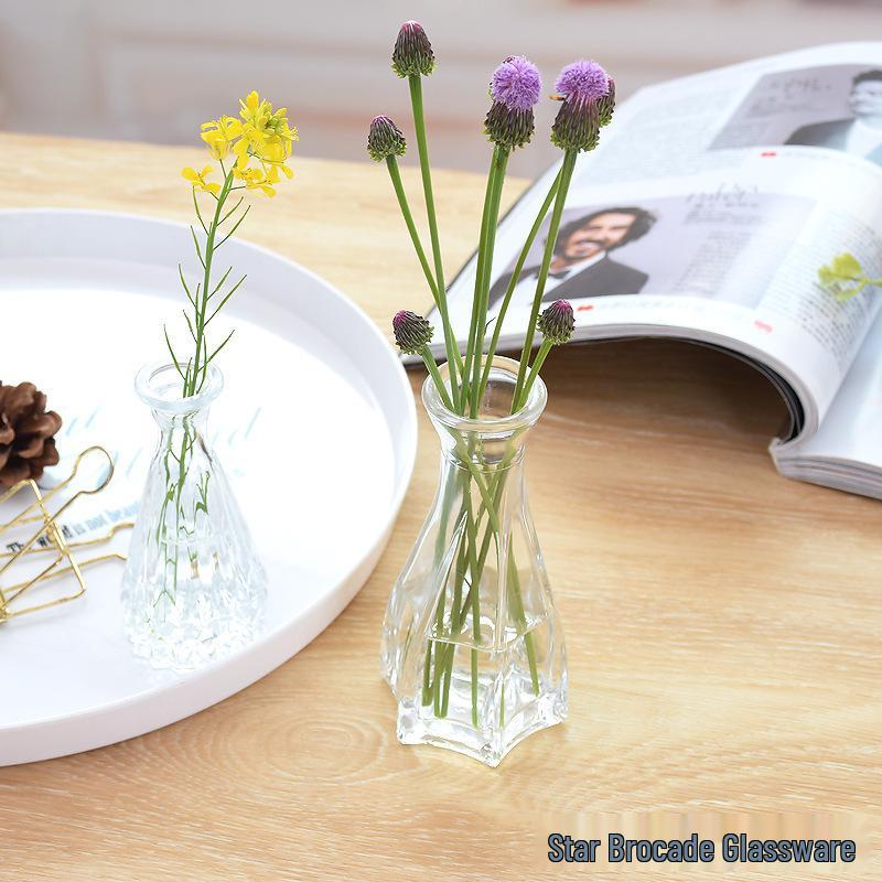 European Glass Vase for Fresh or Dried Flowers - Elegant Hydroponic Decoration Ornament