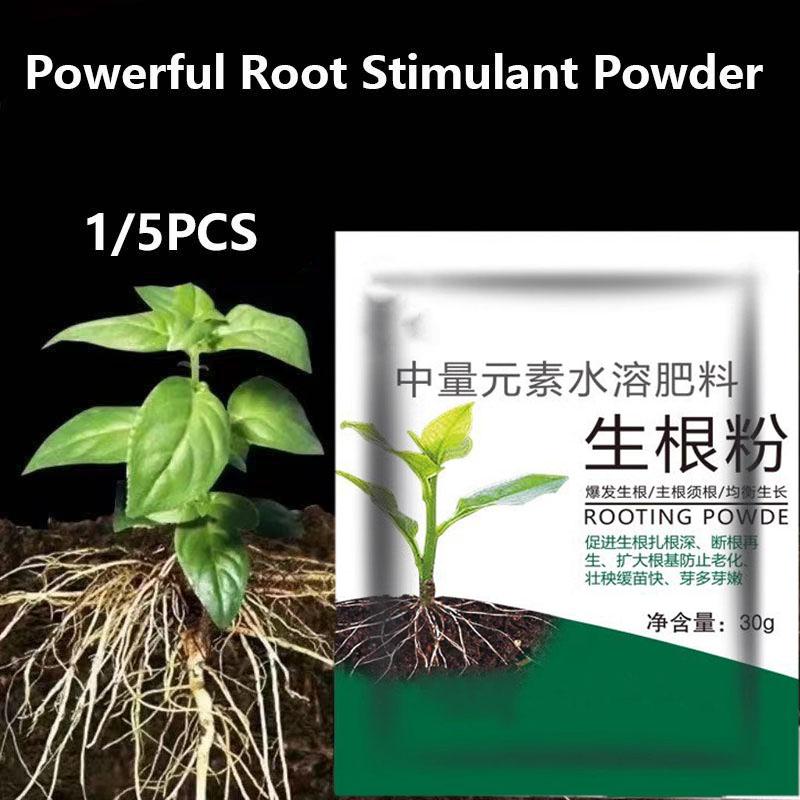 Wzmacnianie Sadzonek Roślin Nawóz Stymulujący Wzrost Korzeni Proszek do Stymulacji Korzeni Warzyw Przesadzanie Roślin i Kwiatów Ukorzenianie Sadzonek