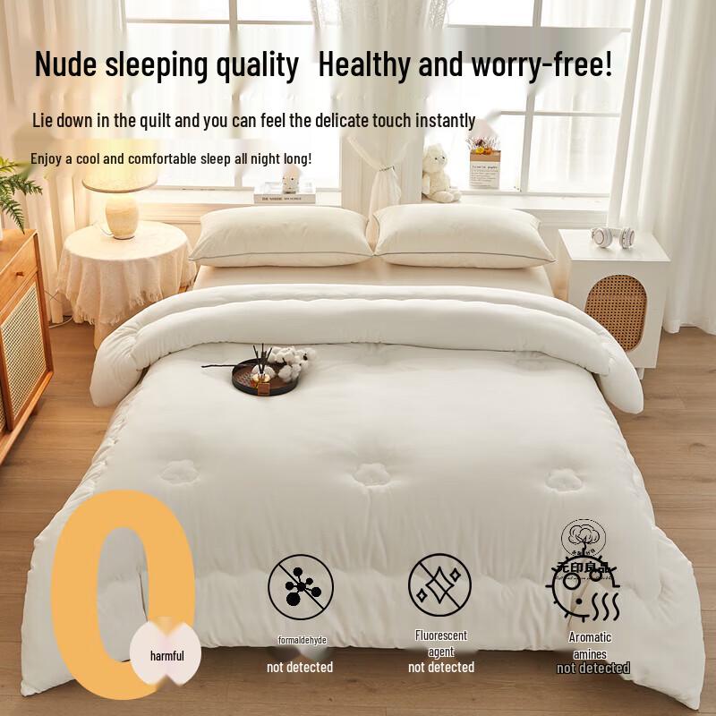 Muji Class A Skin-Friendly 100% Cotton Quilt