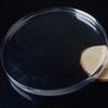 10Pcs Transparent Blanks Acrylic Circle Dis 3/5/10/15CM Acrylic Circle Blanks  Cake Baking Decor