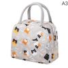 Insulated Lunch Bag For Camping Picnic Bento Cooler Bag Ice Pack Lunch Box