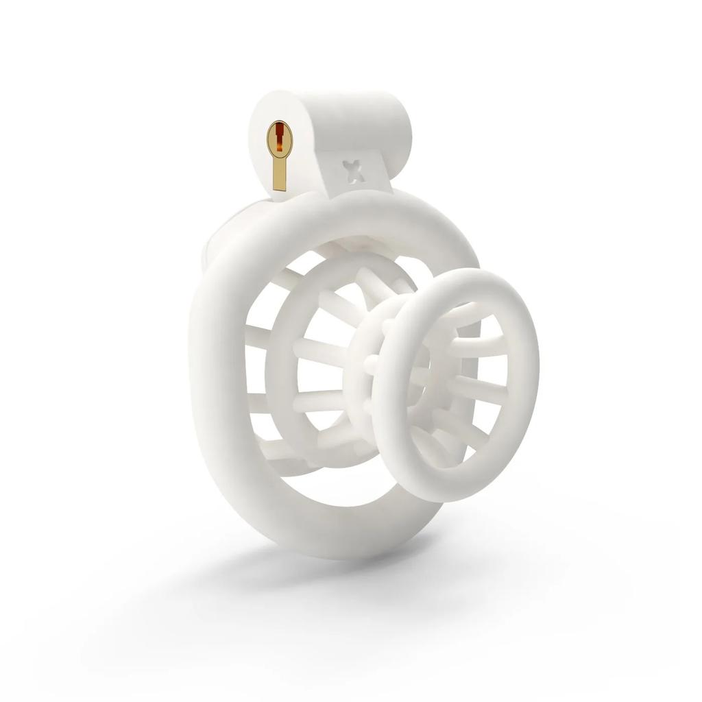 Male Chastity Lock Anti-Cheating Cock Cage with 4 Rings for A Belt of Fidelity Feminization Negative Inverted Chastity Sex Toy