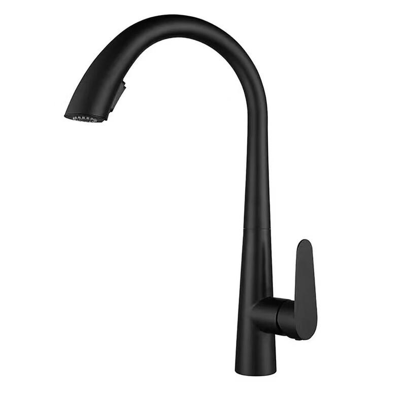 Lilon 304 Stainless Steel Pull-Out Kitchen Faucet