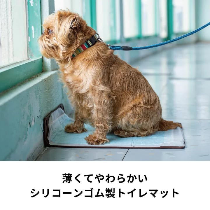 HARIO Dog Toilet Mat, Box Package, Wide, for Senior Dogs, Senior Dogs, and Cats, Care, and Toilet Training (PTS-TMWCB-CBR)