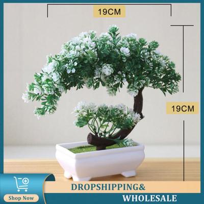 Potted Ornaments Unique Design Durable Materials Decorative Highly Popular Stylish Must-have Decoration Bonsai Small Tree Pot