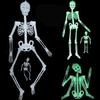 Premium Quality Luminous Hanging Human Skeleton Ideal For Halloween And Party Decor