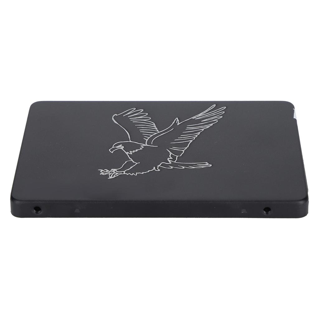 Hsthe Sea Mobile Solid State Disk Portable 2.5 Inch Metal Eagle Black External SSD for PC