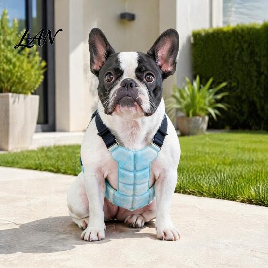 Comfortabel Koeltuigje voor Hond, Ademend Vest met Gel IJsverpakkingen, Hitteberoerte Preventie voor Huisdieren Zomerjas Groot Medium