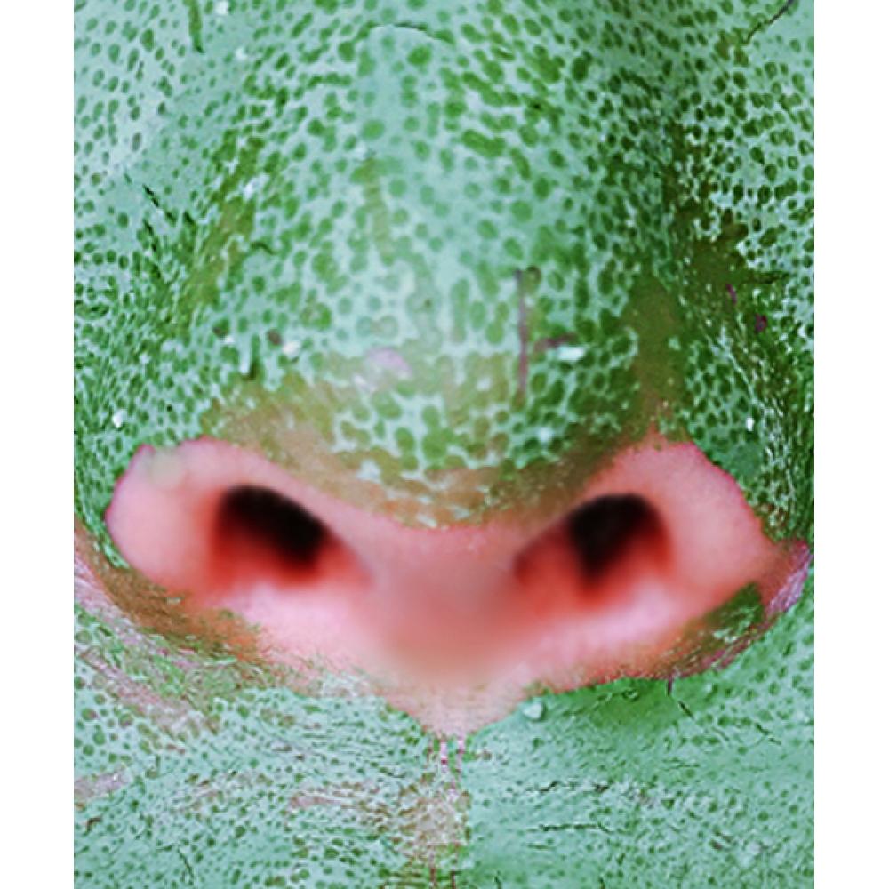 Medipickme Real Spirulina Pore Perfect Pore   Soothing Mask Pack 100g