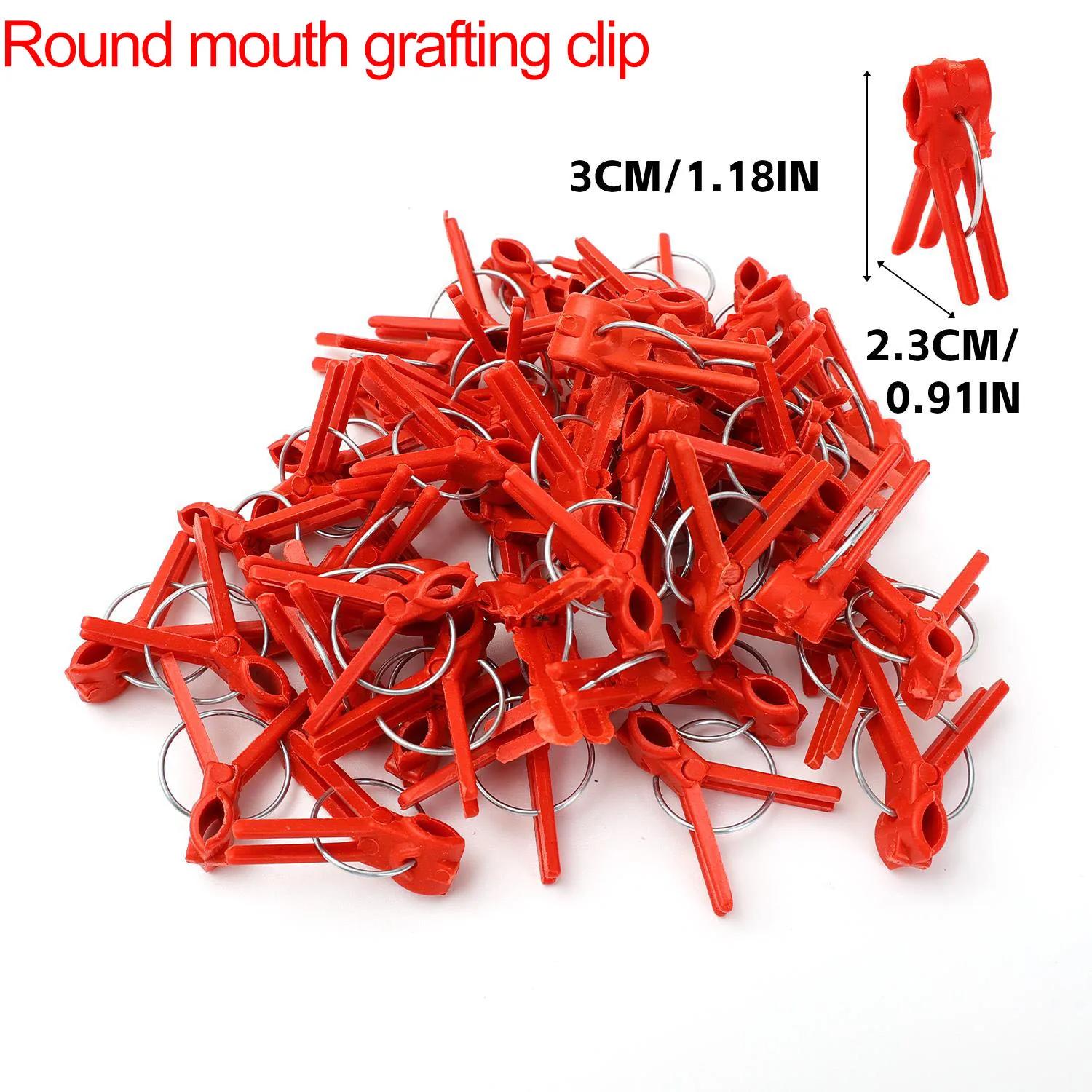 

Plant Grafting Clips Reusable Plastic Fixed Bracket Flowers Vine Vegetables Support Clip Fixing Connects Clamps Gardening Tools 50PCS