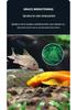 Yeeb Alien Sinking Fish Food for Suckerfish, Queen, Sailfin Pleco, and Panda Fish