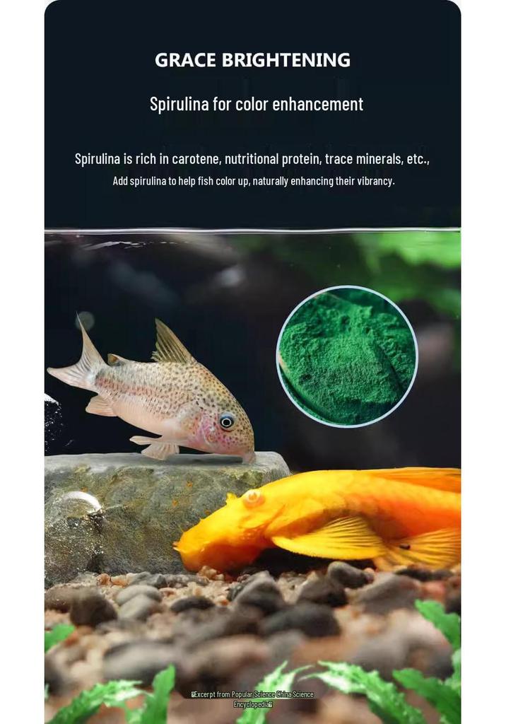Yeeb Alien Sinking Fish Food for Suckerfish, Queen, Sailfin Pleco, and Panda Fish