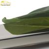21 Elantra Side Skirt Bumper Trim: Anti-Scratch Door Protector