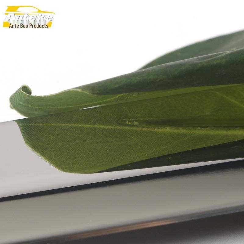21 Elantra Side Skirt Bumper Trim: Anti-Scratch Door Protector