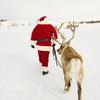 2025 Adult Santa Claus Christmas Cosplay Costume Set