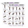 Professional Weight Training Chart 2 Pcs Dumbbell Workout Poster, Full Body Exercise Lifting Instruction Poster Wall Art, Strength Fitness Guide