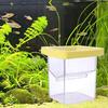 Acrylic Fish Nursery Incubation Box Clear Fish Breeding Isolation Box Aquarium Breeder Box  Shrimp