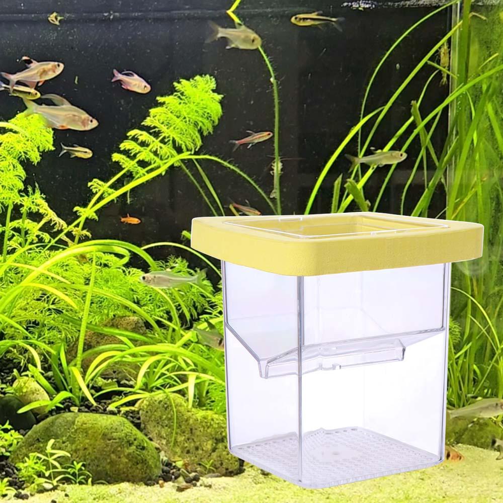 Double Layer Aquarium Breeder Box Clear Fish Breeding Isolation Box  Betta
